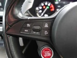 2019 Alfa Romeo Stelvio 2.9 V6 Turbo 4WD Sedan for sale, Japanese used car export - photo 16 of 16 | GULJI TRADERS