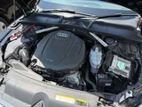 2019 Audi A5 Sportback 40TFSI Sport Sedan for sale, Japanese used car export - photo 10 of 25 | GULJI TRADERS