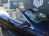 2021 BMW 8 Series 840i M Sport Sedan for sale, Japanese used car export - photo 25 of 43 | GULJI TRADERS