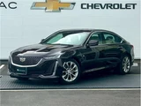 2021 Cadillac CT5 Sedan for sale, Japanese used car export - photo 1 of 50 | GULJI TRADERS