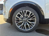 2025 Cadillac XT4 Sport Sedan for sale, Japanese used car export - photo 61 of 63 | GULJI TRADERS