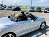 2015 Daihatsu Copen Coupe for sale, Japanese used car export - photo 16 of 25 | GULJI TRADERS