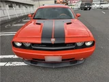 2008 Dodge Challenger SRT8 Orange Coupe for sale, Japanese used car export - photo 6 of 50 | GULJI TRADERS
