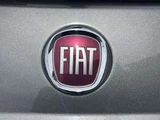 2023 Fiat 500 1.2 Cults Other Sedan for sale, Japanese used car export - photo 41 of 75 | GULJI TRADERS