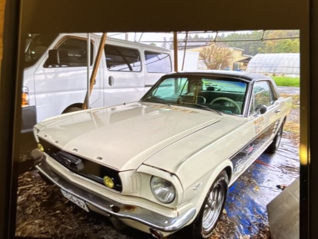 1966 Ford Mustang - photo 1 1966 Ford Mustang Coupe for sale, Japanese used car export | GULJI TRADERS