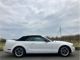 2008 Ford Mustang Coupe for sale, Japanese used car export - photo 5 of 47 | GULJI TRADERS