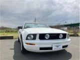 2008 Ford Mustang Coupe for sale, Japanese used car export - photo 14 of 47 | GULJI TRADERS