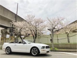 2008 Ford Mustang Coupe for sale, Japanese used car export - photo 25 of 47 | GULJI TRADERS