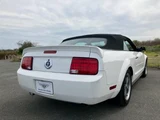 2008 Ford Mustang Coupe for sale, Japanese used car export - photo 9 of 9 | GULJI TRADERS