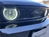 2009 Ford Mustang Coupe for sale, Japanese used car export - photo 18 of 49 | GULJI TRADERS