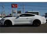 2015 Ford Mustang 50thYEARSEDITION Coupe for sale, Japanese used car export - photo 6 of 57 | GULJI TRADERS