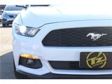 2015 Ford Mustang 50thYEARSEDITION Coupe for sale, Japanese used car export - photo 11 of 57 | GULJI TRADERS