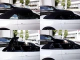 2018 Ford Mustang V8 GT Coupe for sale, Japanese used car export - photo 9 of 20 | GULJI TRADERS