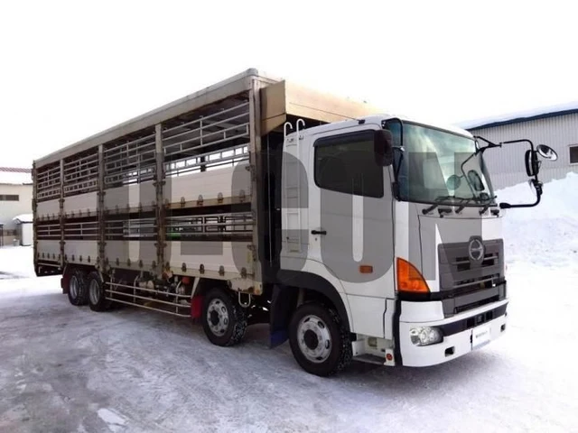 2010 Hino Profia Truck for sale, Japanese used car export | GULJI TRADERS