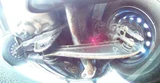 1997 Honda Civic Ferio 1.5 Vi Sedan for sale, Japanese used car export - photo 35 of 37 | GULJI TRADERS