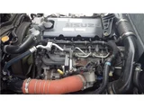 2021 Isuzu ELF Truck Truck for sale, Japanese used car export - photo 30 of 80 | GULJI TRADERS