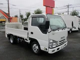 2021 Isuzu ELF Truck 2WD Truck for sale, Japanese used car export - photo 2 of 18 | GULJI TRADERS