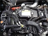 2025 Isuzu Forward Truck for sale, Japanese used car export - photo 19 of 34 | GULJI TRADERS