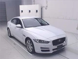 2019 Jaguar XE XE Sedan for sale, Japanese used car export - photo 1 of 11 | GULJI TRADERS