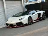 2015 Lamborghini Aventador LP700-4 Roadster Other Coupe for sale, Japanese used car export - photo 9 of 59 | GULJI TRADERS