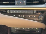 2020 Lexus ES 300h Sedan for sale, Japanese used car export - photo 19 of 24 | GULJI TRADERS
