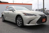2020 Lexus ES ES300h Sedan for sale, Japanese used car export - photo 21 of 30 | GULJI TRADERS
