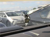 2021 Lexus ES Sedan for sale, Japanese used car export - photo 15 of 18 | GULJI TRADERS