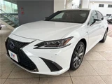 2021 Lexus ES ES300h F Sport Sedan for sale, Japanese used car export - photo 21 of 30 | GULJI TRADERS