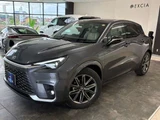 2025 Lexus LBX Sedan for sale, Japanese used car export - photo 3 of 31 | GULJI TRADERS