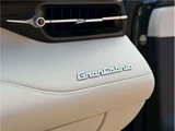 2025 Maserati Grancabrio Sedan for sale, Japanese used car export - photo 30 of 74 | GULJI TRADERS