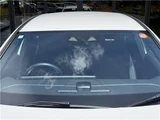2024 Mercedes-Benz A-Class A200d Sedan for sale, Japanese used car export - photo 37 of 80 | GULJI TRADERS