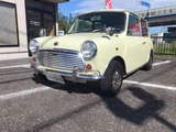 1995 Rover Mini Cooper 1.3i Mk-II specifications Yellow Sedan for sale, Japanese used car export - photo 1 of 40 | GULJI TRADERS