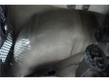 1992 Suzuki Cappuccino Base Sedan for sale, Japanese used car export - photo 48 of 50 | GULJI TRADERS
