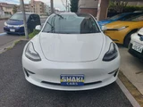 2020 Tesla Model 3 Long range 4WD Pearl Sedan for sale, Japanese used car export - photo 8 of 31 | GULJI TRADERS