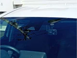 2022 Toyota Aqua 1.5 Z Sedan for sale, Japanese used car export - photo 45 of 53 | GULJI TRADERS