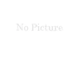 2023 Toyota Camry WS Pearl Sedan for sale, Japanese used car export - photo 15 of 15 | GULJI TRADERS
