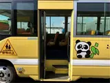 2017 Toyota Coaster Children's bus long 3+49/1.5 seater Yellow Van for sale, Japanese used car export - photo 8 of 57 | GULJI TRADERS