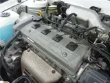 1999 Toyota Corolla XE Saloon Limited White Sedan for sale, Japanese used car export - photo 66 of 69 | GULJI TRADERS