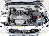 1999 Toyota Corolla SE Saloon Rivière White Sedan for sale, Japanese used car export - photo 70 of 80 | GULJI TRADERS