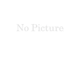 2022 Toyota Corolla Touring Van for sale, Japanese used car export - photo 13 of 13 | GULJI TRADERS