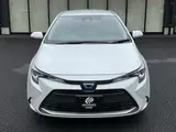 2025 Toyota Corolla Van 1800 G (Hybrid) 4-door FCVT 2WD 5-seater Pearl Van for sale, Japanese used car export - photo 4 of 23 | GULJI TRADERS