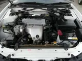 1995 Toyota Curren 2.0 FS White Coupe for sale, Japanese used car export - photo 11 of 68 | GULJI TRADERS