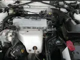 1995 Toyota Curren 2.0 FS White Coupe for sale, Japanese used car export - photo 12 of 68 | GULJI TRADERS