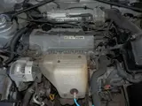 1995 Toyota Curren 2.0 XS Touring Silver Coupe for sale, Japanese used car export - photo 34 of 39 | GULJI TRADERS