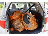 2013 Toyota Ractis 1.5 Lepis 4WD Pearl Van for sale, Japanese used car export - photo 21 of 29 | GULJI TRADERS