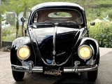 1954 Volkswagen Beetle Sedan for sale, Japanese used car export - photo 3 of 42 | GULJI TRADERS