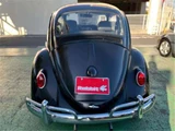 1998 Volkswagen Beetle Sedan for sale, Japanese used car export - photo 6 of 50 | GULJI TRADERS