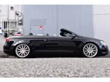 2008 Volkswagen EOS 2.0TSI Sedan for sale, Japanese used car export - photo 10 of 80 | GULJI TRADERS