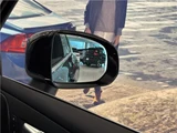 2025 Volvo XC60 Sedan for sale, Japanese used car export - photo 73 of 80 | GULJI TRADERS